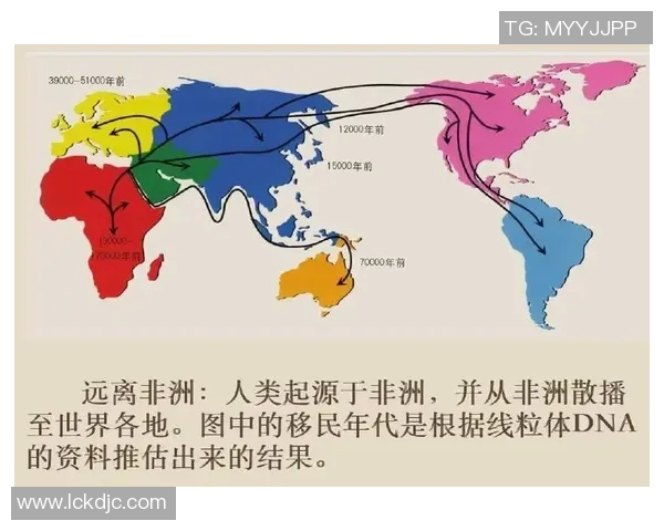 从古代文明到现代帝国：世界历史进程中的转折点与影响分析