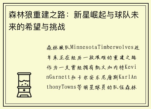 森林狼重建之路：新星崛起与球队未来的希望与挑战